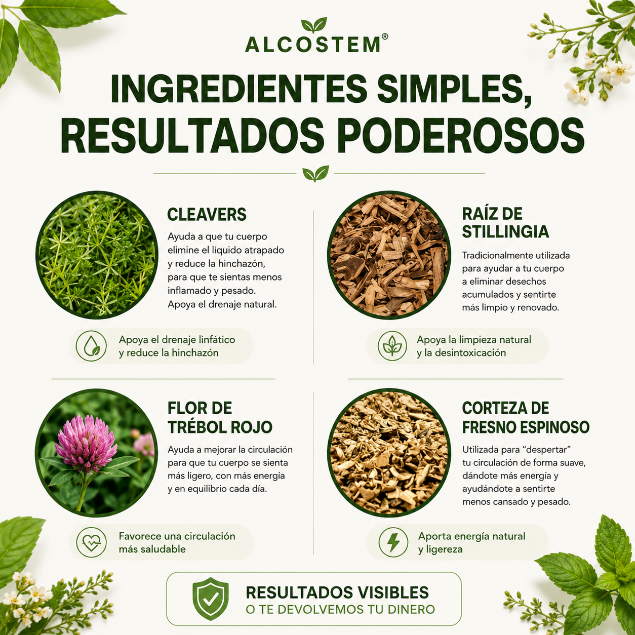 Alcostem® Gotas Linfáticas