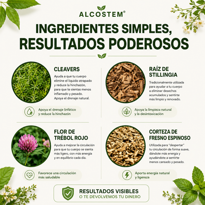 Alcostem® Gotas Linfáticas